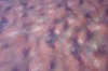 Tela Lycra: Nebulosa